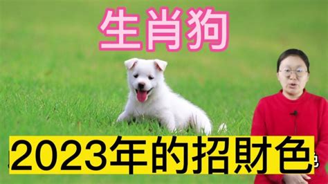 2023屬狗幸運物|【屬狗2023生肖運勢】事業運吉凶參半，桃花運節節。